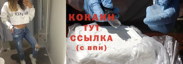 индика Михайлов