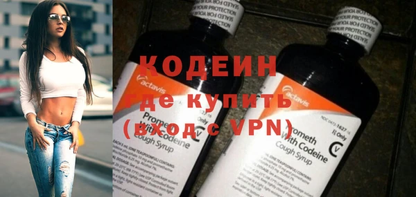индика Михайлов